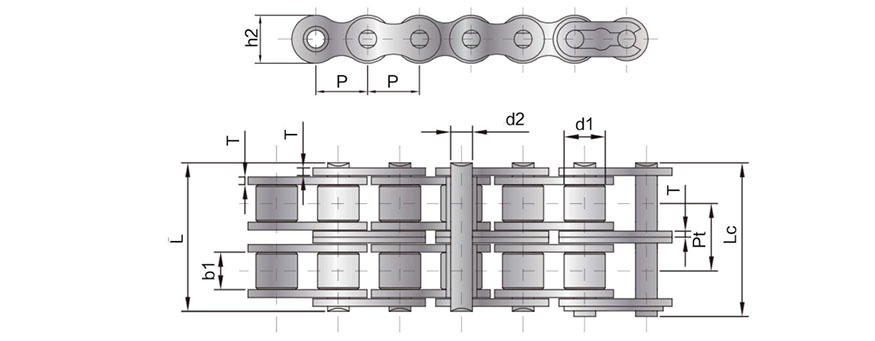 SS Жолооны гинж03