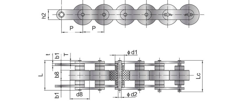 Cadwyni Cyflymder SS1