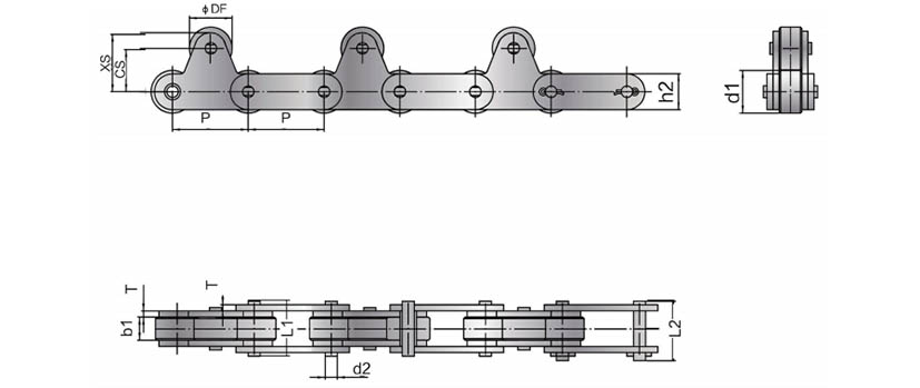 SS Pamusoro Roller Conveyor Chains5